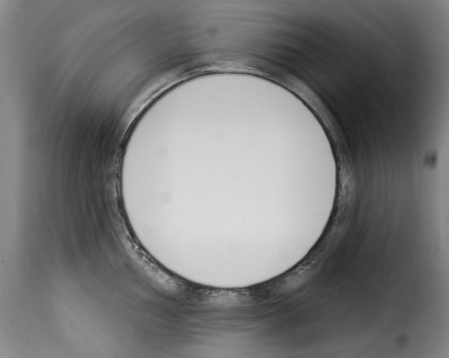 X0000114241002200911201129