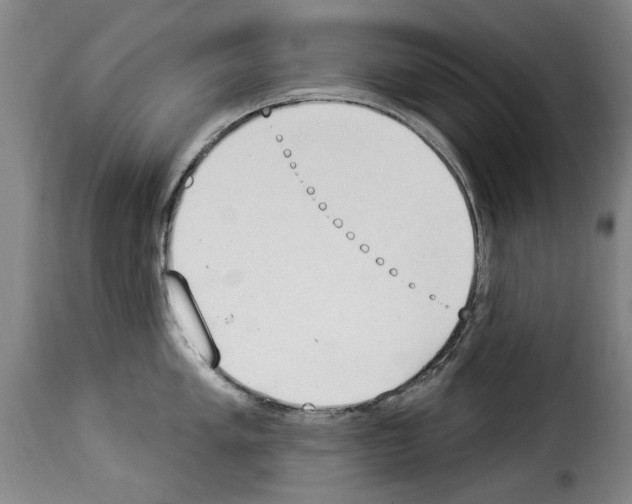 X0000114241005200911201129