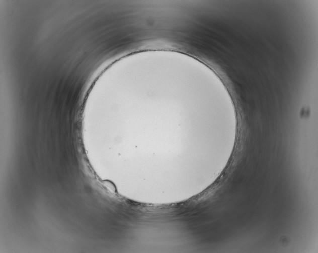 X0000114241008200911201129