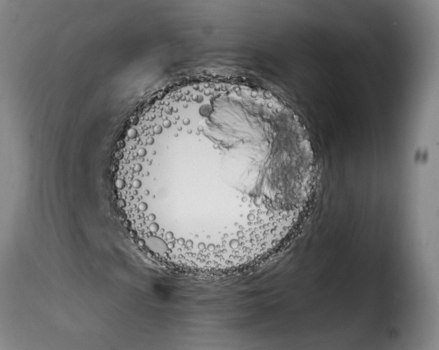 X0000114241009200911201128