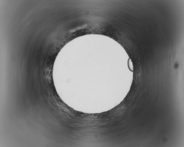 X0000114241010200911201128