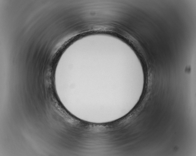 X0000114241019200911201128