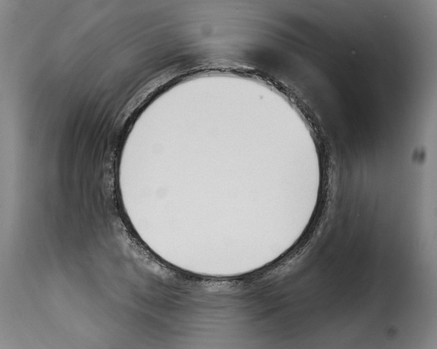 X0000114241025200911201128