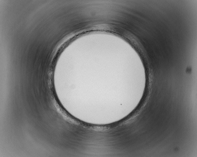 X0000114241029200911201128