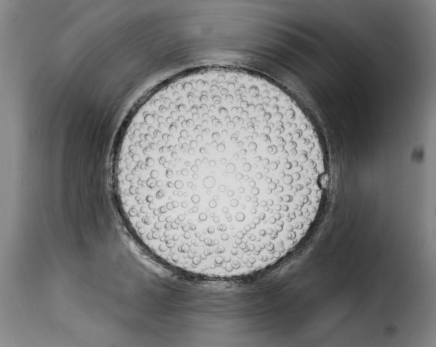 X0000114241037200911201128