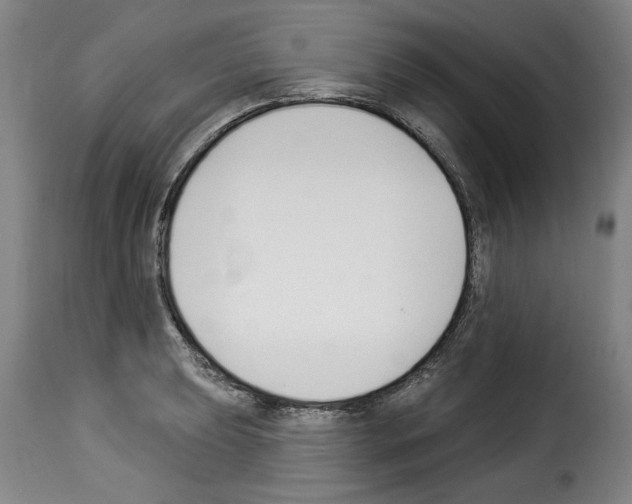 X0000114241039200911201129