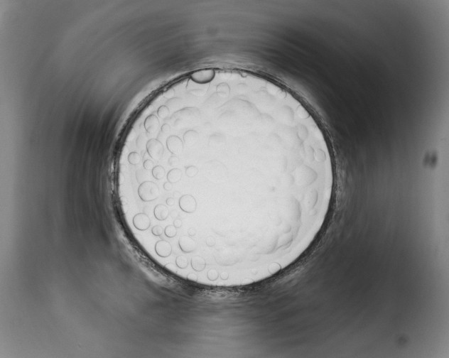 X0000114241040200911201129