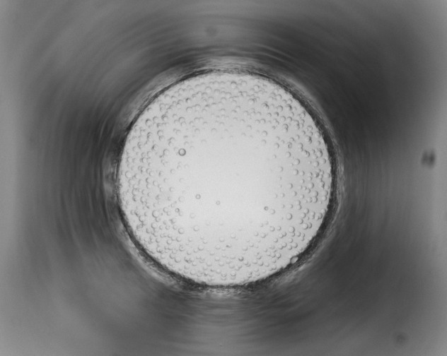 X0000114241041200911201129