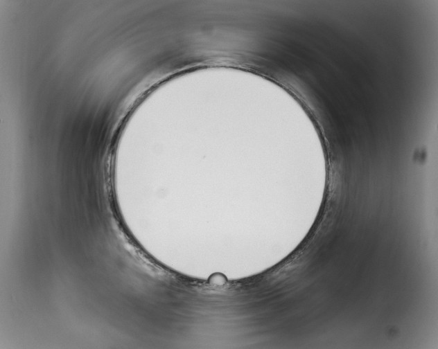 X0000114241048200911201129