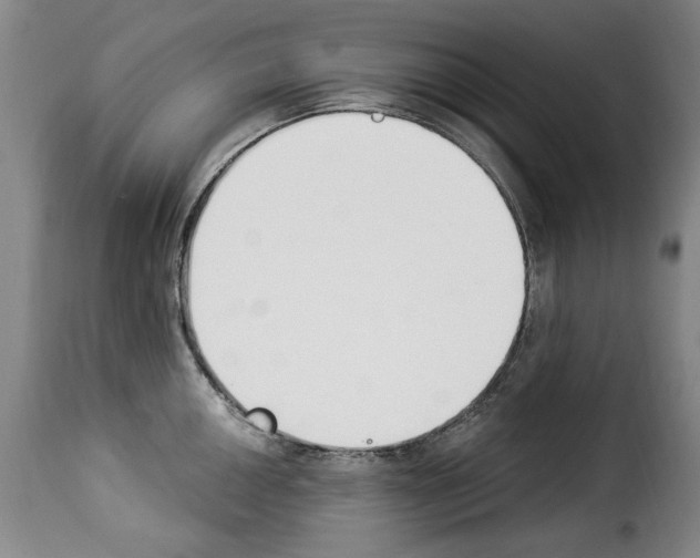 X0000114241050200911201129