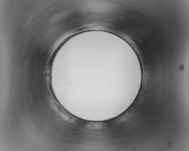 X0000114241051200911201129