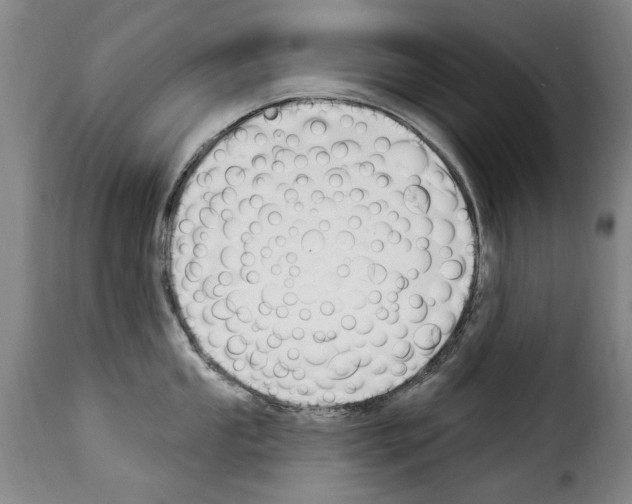 X0000114241053200911201129