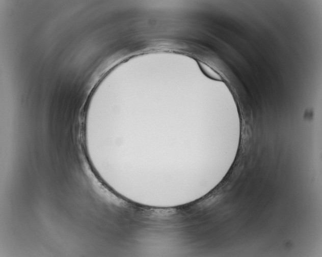 X0000114241055200911201129