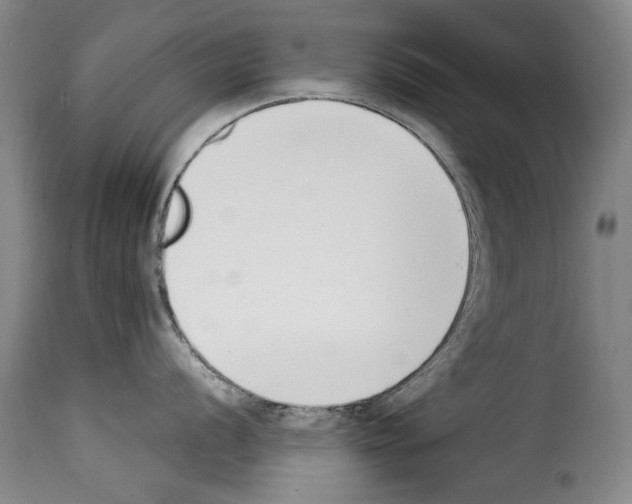 X0000114241056200911201129