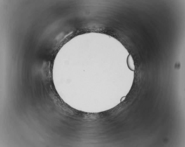 X0000114241058200911201128