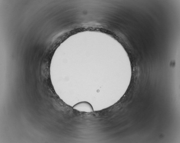 X0000114241063200911201128