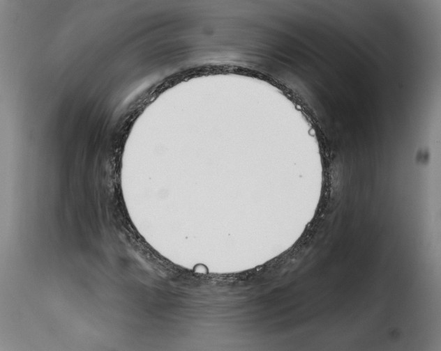 X0000114241064200911201128