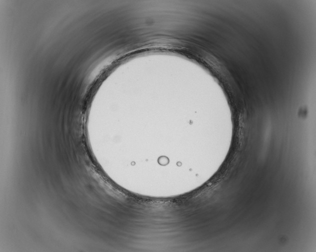 X0000114241067200911201128