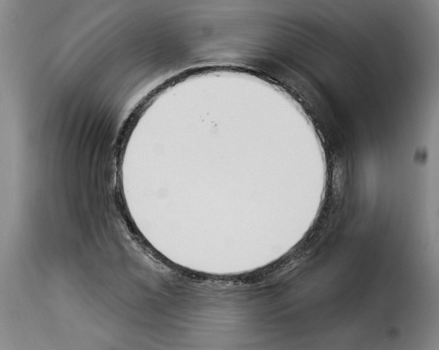 X0000114241069200911201128