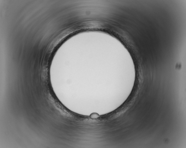 X0000114241073200911201128