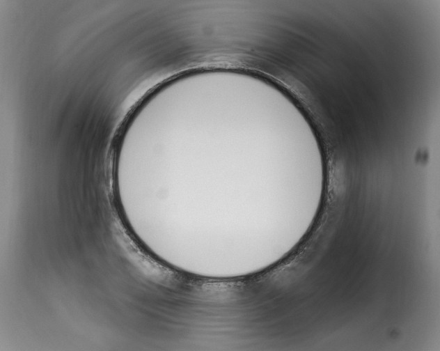 X0000114241078200911201128