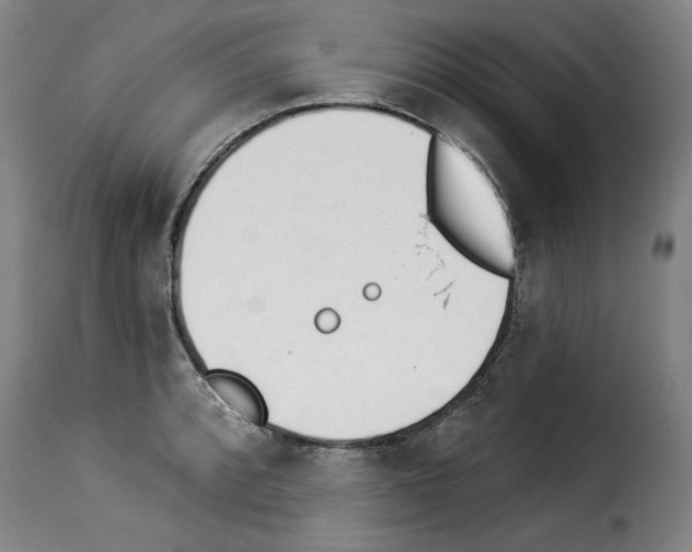 X0000114241088200911201127