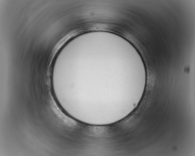 X0000114241090200911201127