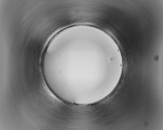 X0000114241092200911201127