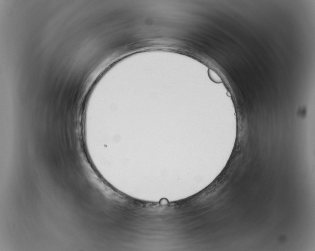 X0000114241099200911201127