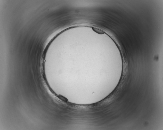 X0000114241101200911201127