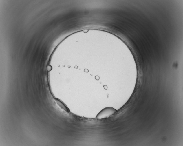 X0000114241102200911201127