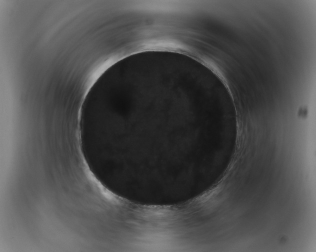 X0000114241103200911201127