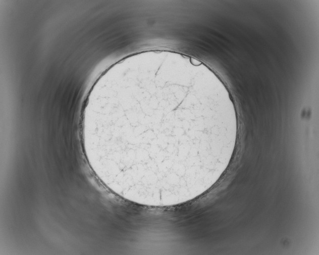 X0000114241104200911201127