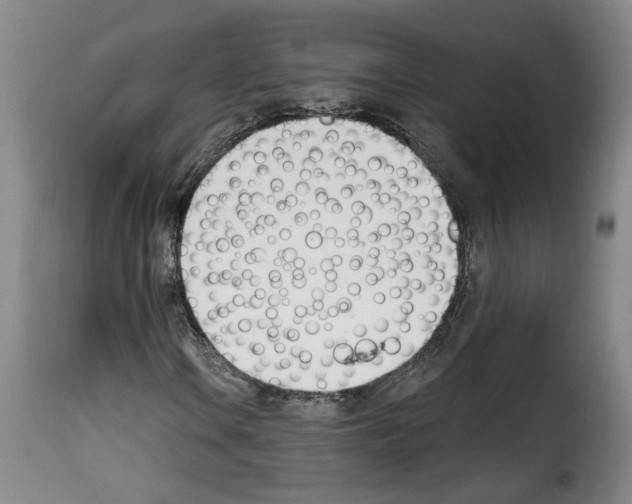 X0000114241106200911201127