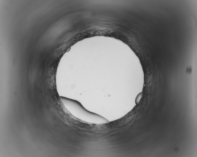 X0000114241109200911201127