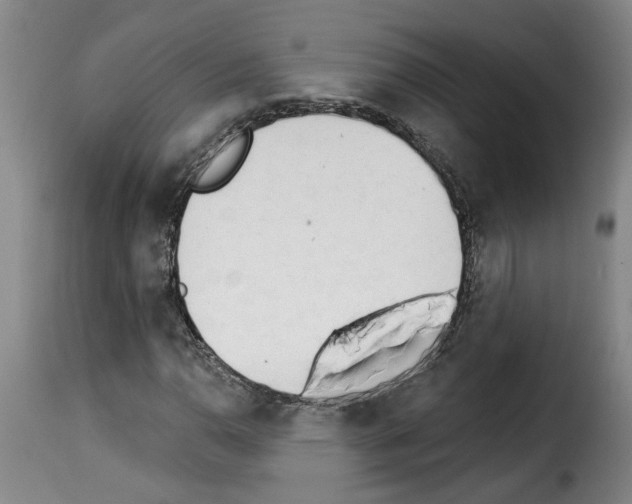 X0000114241110200911201127