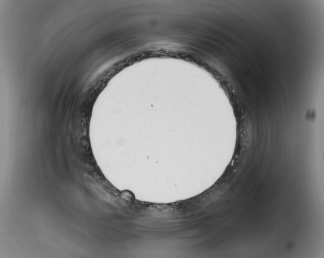 X0000114241112200911201127