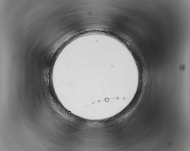 X0000114241113200911201127