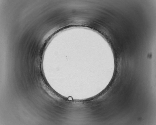 X0000114241114200911201127