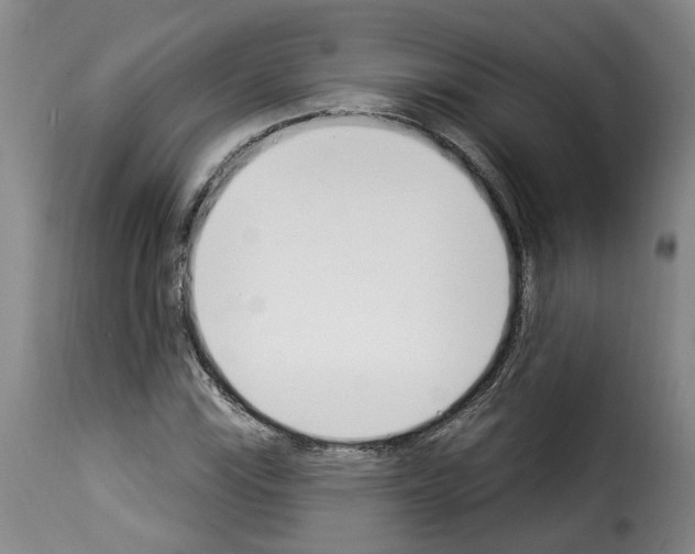 X0000114241115200911201127