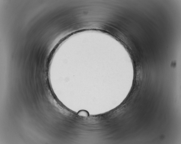 X0000114241116200911201127