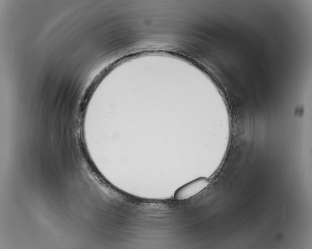 X0000114241119200911201127