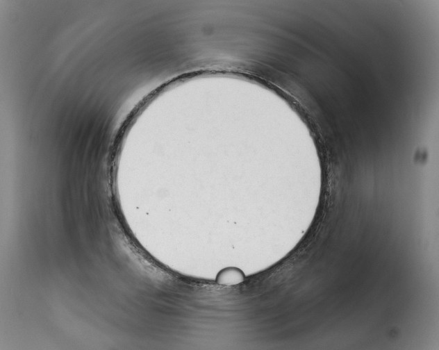 X0000114241120200911201127