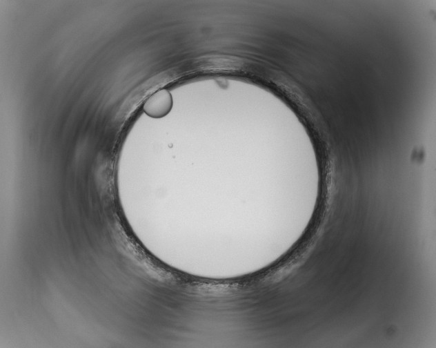 X0000114241121200911201127