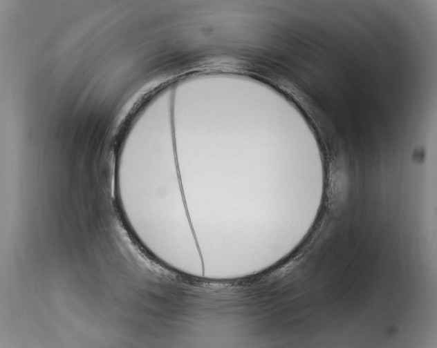 X0000114241123200911201127