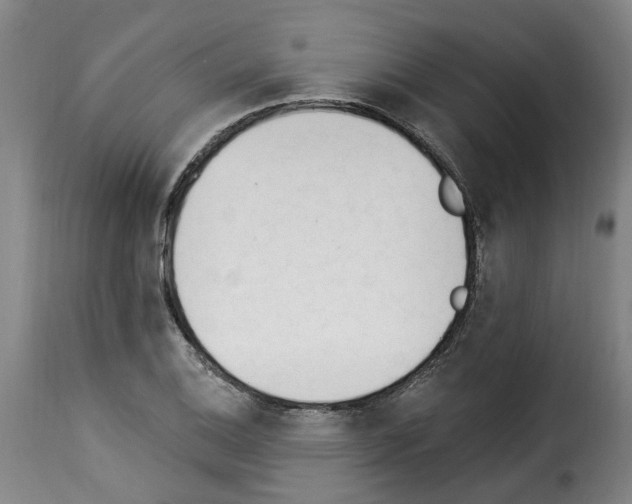 X0000114241124200911201127