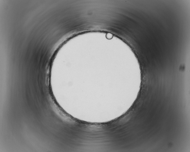 X0000114241126200911201127