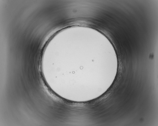 X0000114241131200911201127