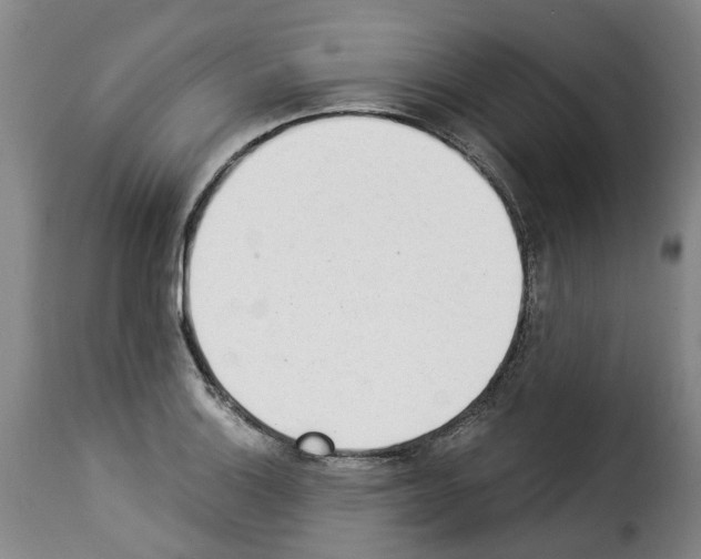 X0000114241132200911201127