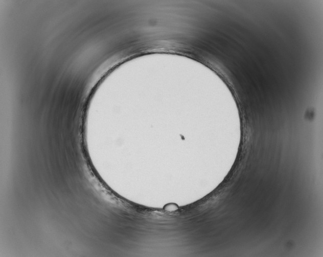 X0000114241138200911201127